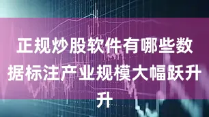 正规炒股软件有哪些数据标注产业规模大幅跃升