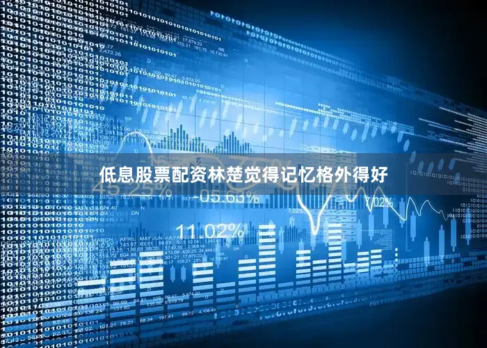 低息股票配资林楚觉得记忆格外得好
