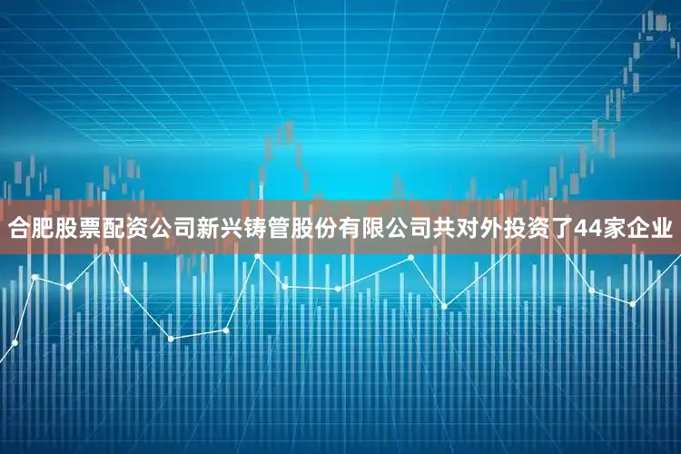合肥股票配资公司新兴铸管股份有限公司共对外投资了44家企业
