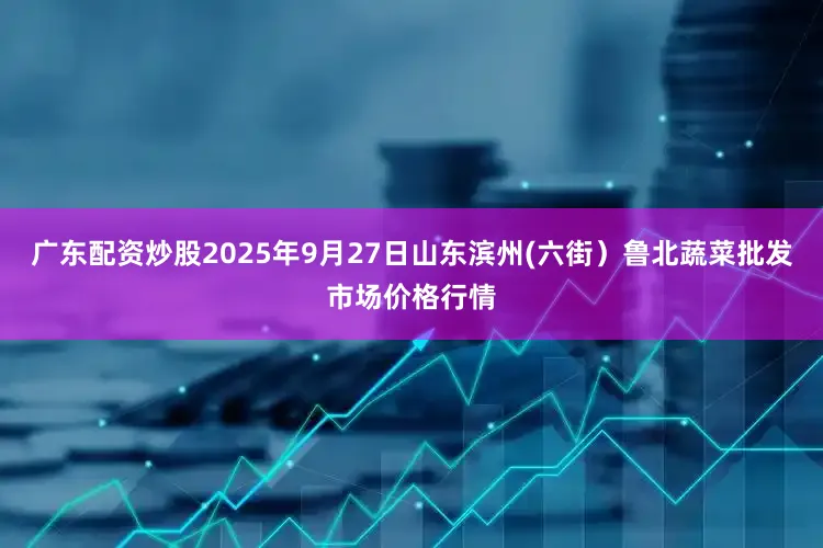 广东配资炒股2025年9月27日山东滨州(六街）鲁北蔬菜批发市场价格行情
